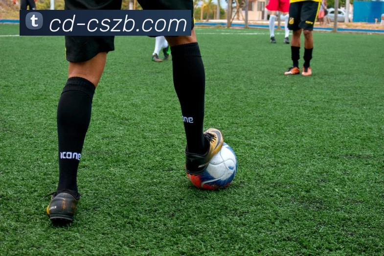 彩神争霸APP 高清赛事图